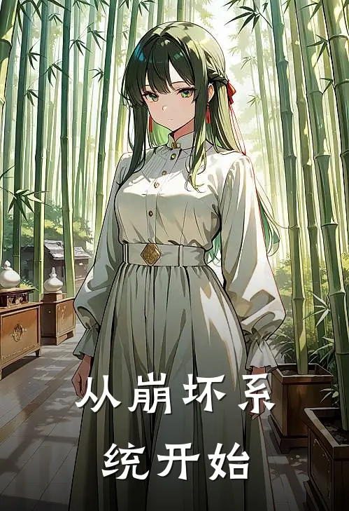 从崩坏系统开始